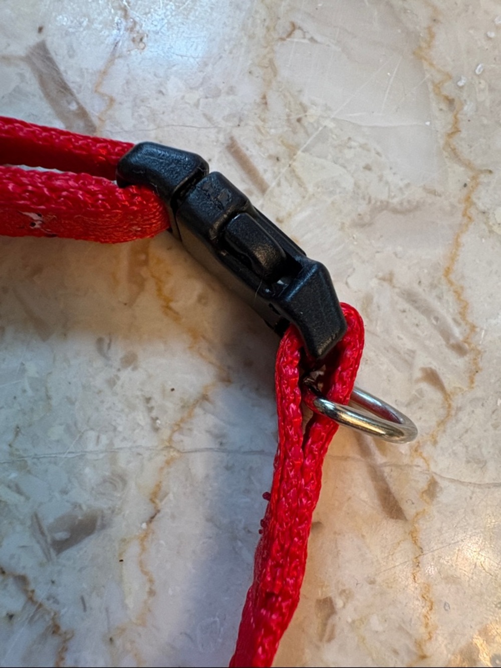 NWT 2-Adjustable Toy Dog Collars - Red & Black Bone Pattern - Picture 13 of 16